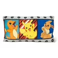 Pokemon Body Pillow