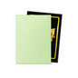 Dragon Shield Dual Matte Pastels: Gooseberry (100)